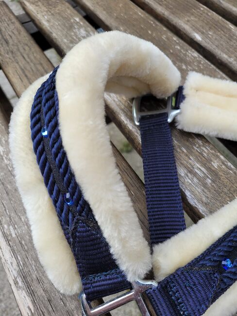 Halfter Cob Teddyfleece, Sophie, Halters, Neuss, Image 3