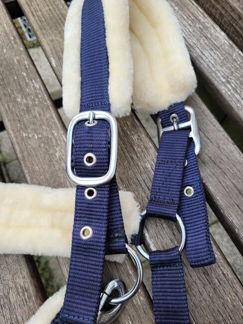 Halfter Cob Teddyfleece, Sophie, Halters, Neuss, Image 4