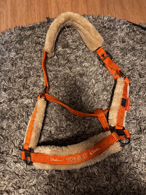 Halfter Eskadron vermillion Orange Warmblut, Eskadron, Louise, Halters, Berlin Friedrichshain, Image 3