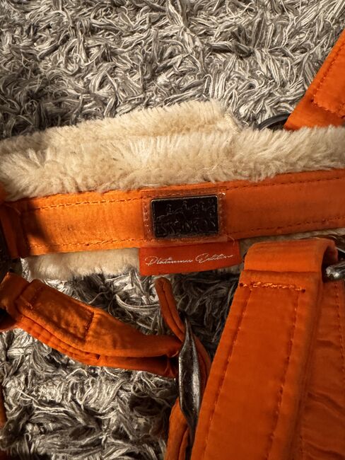 Halfter Eskadron vermillion Orange Warmblut, Eskadron, Louise, Halters, Berlin Friedrichshain, Image 4