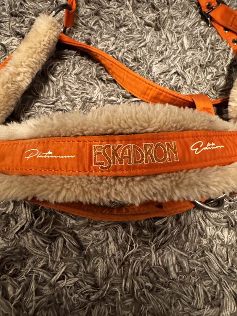 Halfter Eskadron vermillion Orange Warmblut, Eskadron, Louise, Halters, Berlin Friedrichshain, Image 2