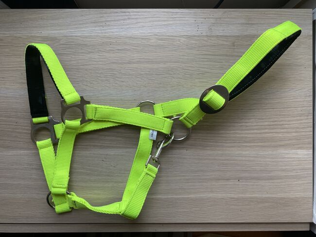 Halfter in Neon-Gelb, Gr. PONY, No-Name Marke NEU, Anschi, Halters, Hallerndorf 