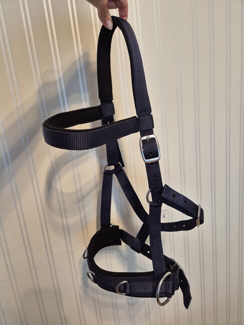 Halfter Kappzaum WB, Angelika , Bridles & Headstalls, Essen , Image 2