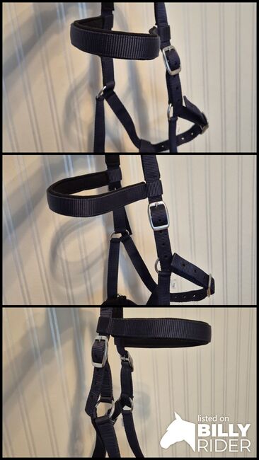 Halfter Kappzaum WB, Angelika , Bridles & Headstalls, Essen , Image 4