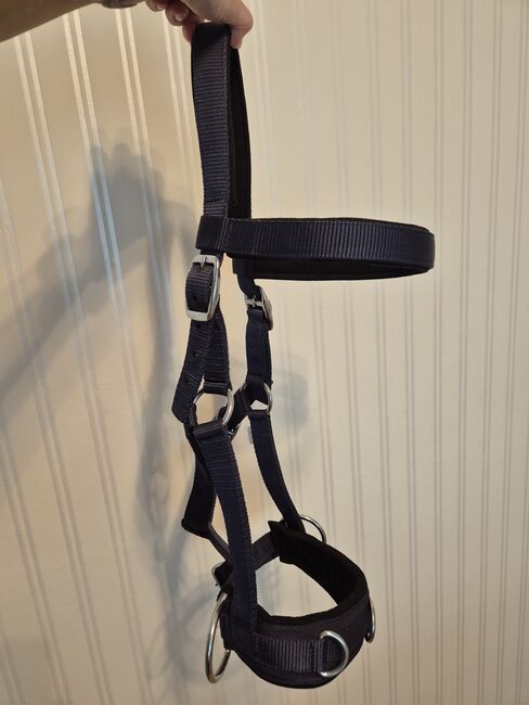 Halfter Kappzaum WB, Angelika , Bridles & Headstalls, Essen , Image 3