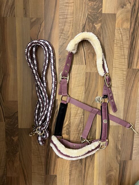 Halfter mit passendem Strick, Felix Bühler, Anna Thanbauer, Halfter, Hallwang