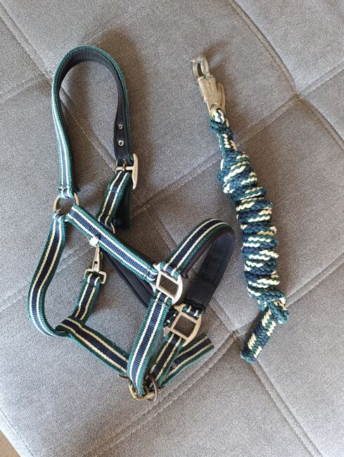 Halfter Pony, Pia, Halfter, Wiernsheim