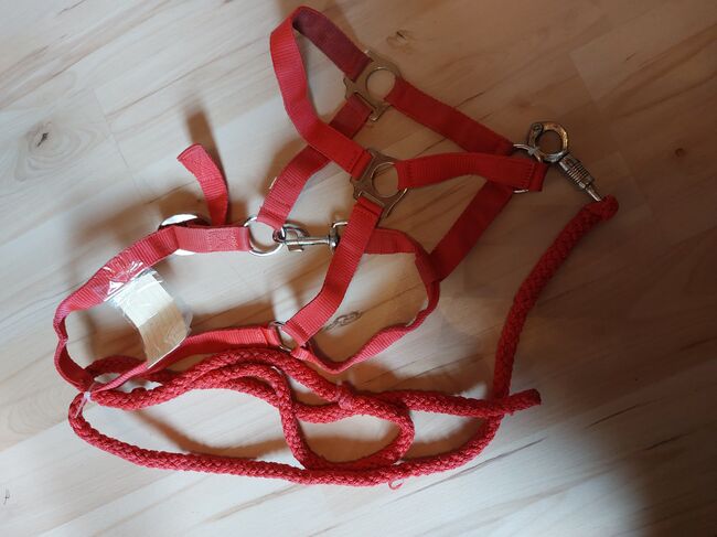 Halfter Pony Rot Set gebraucht, JF, Halfter, Pressath
