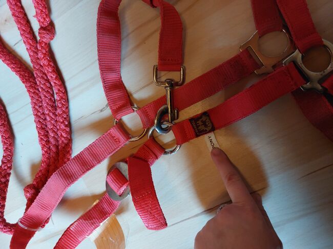 Halfter Pony Rot Set gebraucht, JF, Halfter, Pressath, Abbildung 3