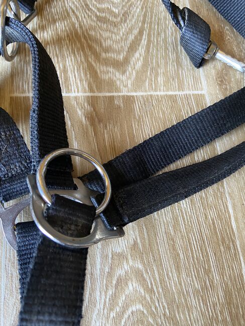 Halfter mit Ringen, Stephanie , Gebisslose Zäumungen, Graz , Abbildung 2