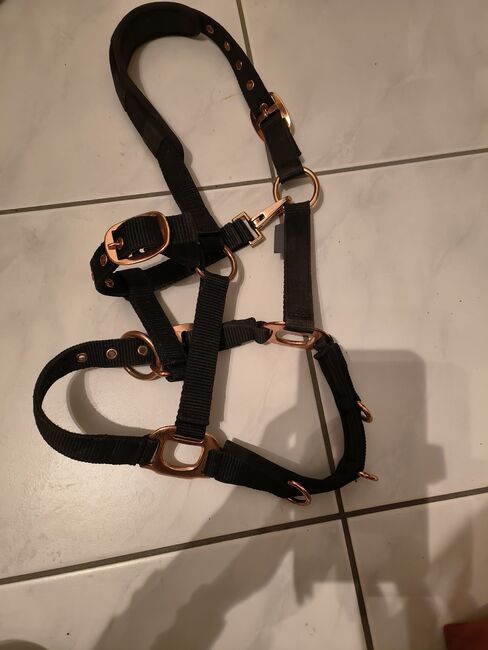 Halfter schwarz-rose/gold Grösse Pony, Mirjam, Halfter, Baden-Dättwil AG