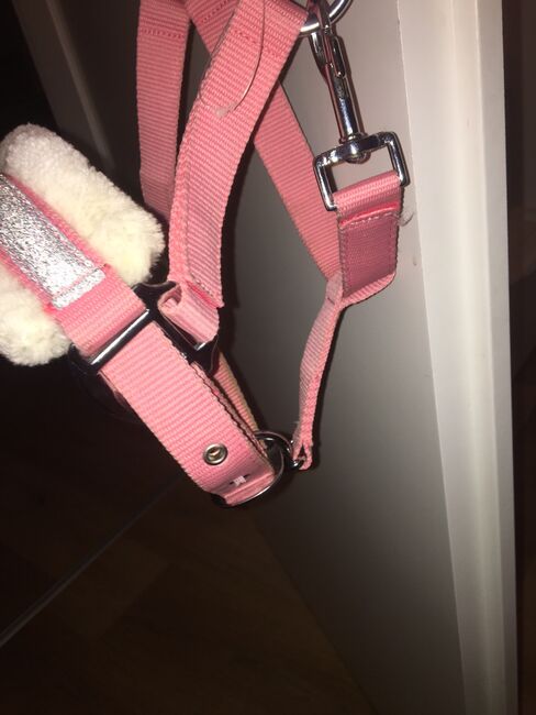 Halfter Shetty Rosa Neu, Harrys Horse , Olivia, Halters, Worpswede, Image 5