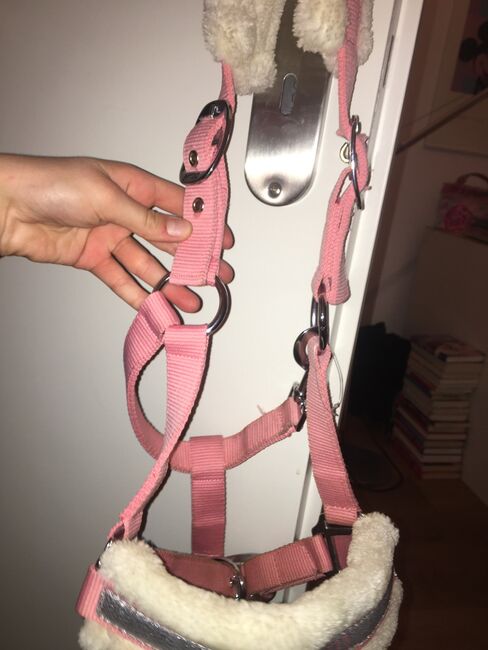 Halfter Shetty Rosa Neu, Harrys Horse , Olivia, Halters, Worpswede, Image 6