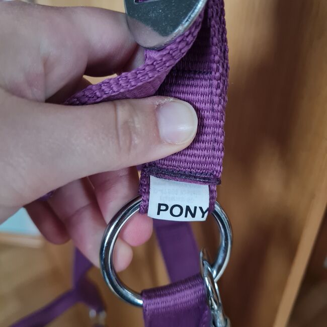 Halfter & Strick Pony lila, Annika Wagner , Halfter, Mayen, Abbildung 3