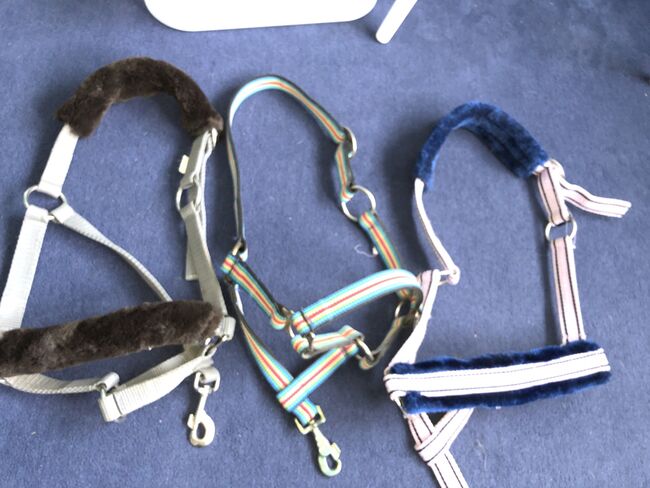 Halfter stricke Pony, Diverse  Keine Angabe , Nicole , Halters, Neuss , Image 5