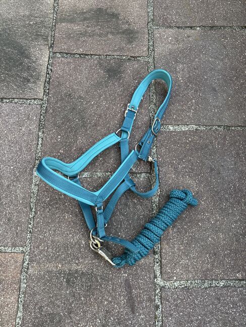 Halfter und Strick Set, Felix Bühler, Rosa, Halters