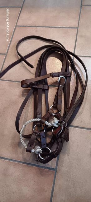 Halfter und Zrensen, Halfter und Trense , Luna Gutknecht , Sonstiges, Dorst 