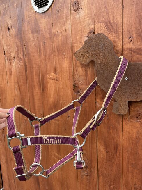 Halfter und Knotenhalfter COB, Jacqueline, Halters, Meschede