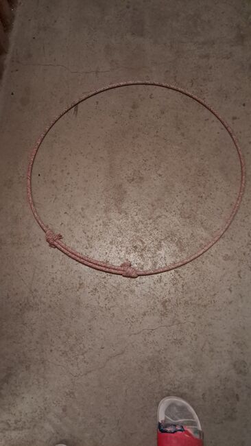 Halsring sehr guter Zustand, Tina, Training Aids, Frankenthal (Pfalz)