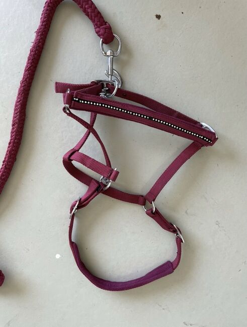 Halfter bordeaux Größe Cob mit Glitzersteinchen und Strick, Melanie B., Halters, Mölln