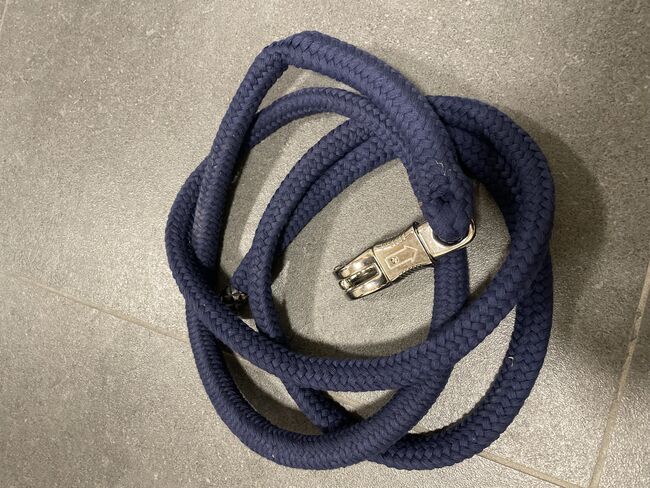 Halfter und Führstrick neu, Loesdau Showmaster, Verena, Halters, Neuenstein, Image 2