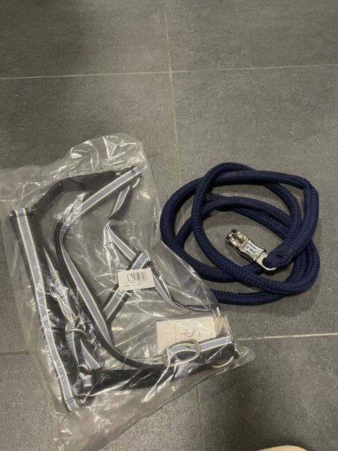 Halfter und Führstrick neu, Loesdau Showmaster, Verena, Halters, Neuenstein
