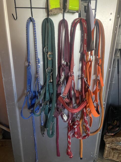 Halfter und Stricke, Severina Nüsse, Halters, Duderstadt