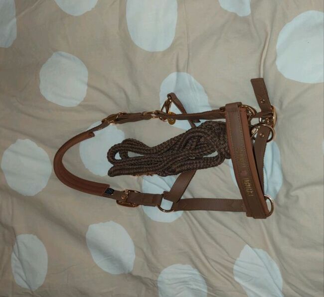 Halfter Eskadron Heritage Faux Leather Almond Größe Cob inkl. Strick, Eskadron  Heritage Faux Leather , Chiara Lorenz , Halters, Leipzig
