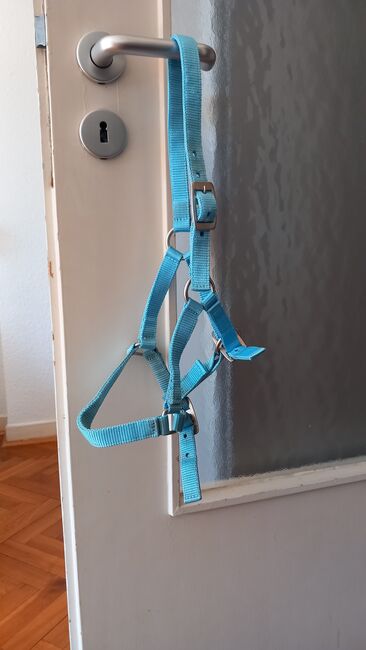 Fohlenhalfter, Marina Grochowski , Halters, Düsseldorf