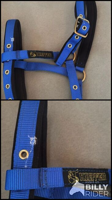 Fohlenhalfter, Selina , Halters, Schlüchtern, Image 3