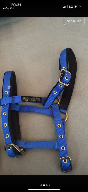 Fohlenhalfter, Selina , Halters, Schlüchtern