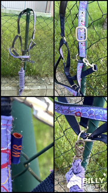 Halfter(+/Strick) lila, Ramona, Halters, Gunzenhausen, Image 5
