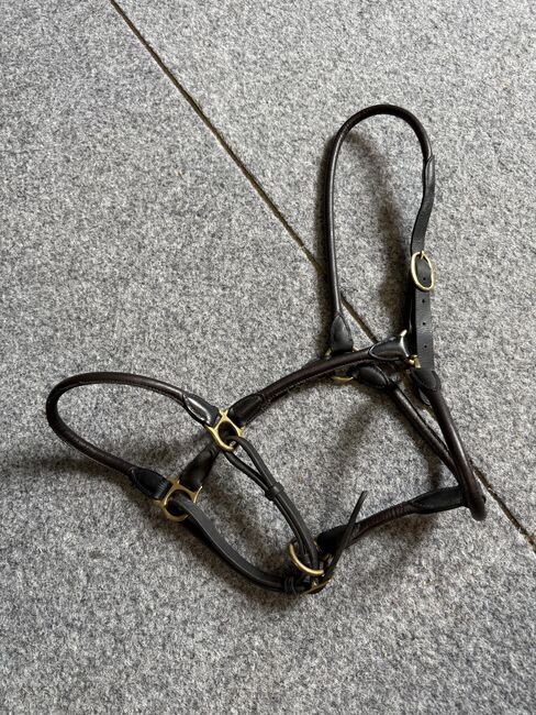 Leder Halfter, Isabelle Saladin, Halters, Hofstetten 