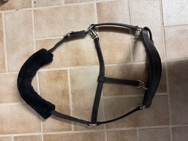 Weiches Lederhalfter mit Genickschoner Gr. COB, CLARIDGE HOUSE, Lucy-May Schmid , Halters, Eigeltingen