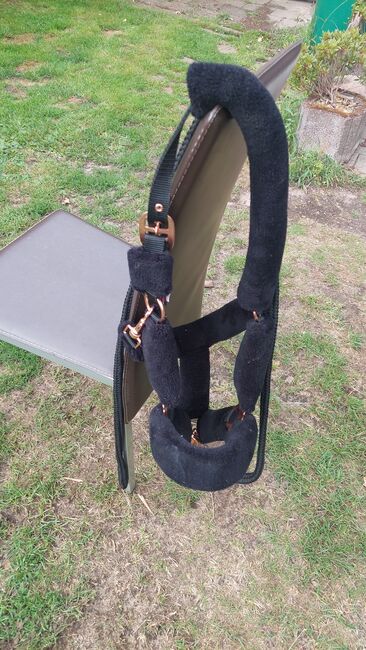 Schwarzes plüschhalfter mit passenden strick, Nicola , Halters, Leese