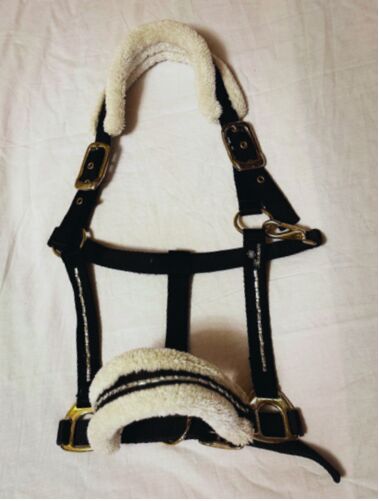 Halfter, gut erhalten, Showmaster, A. Weigel, Halters, Bad Homburg