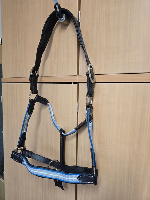 Halfter Lederhalfter Full blau schwarz neu, Covalliero, Pferdi, Halters, Ponitz