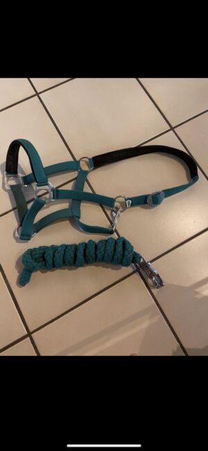 Halfter mit Panikhakenstrick, Charlotte, Halters, Elbtak