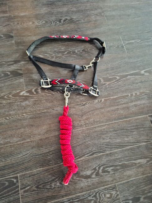 Halfter mit Strick und Panikhaken, Robert, Halters, Kolbermoor