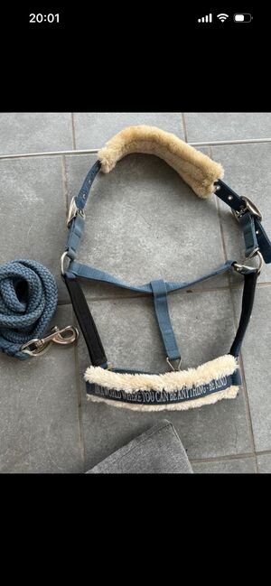 Halfter mit Strick, Felix Bühler, Jana, Halters, Aham