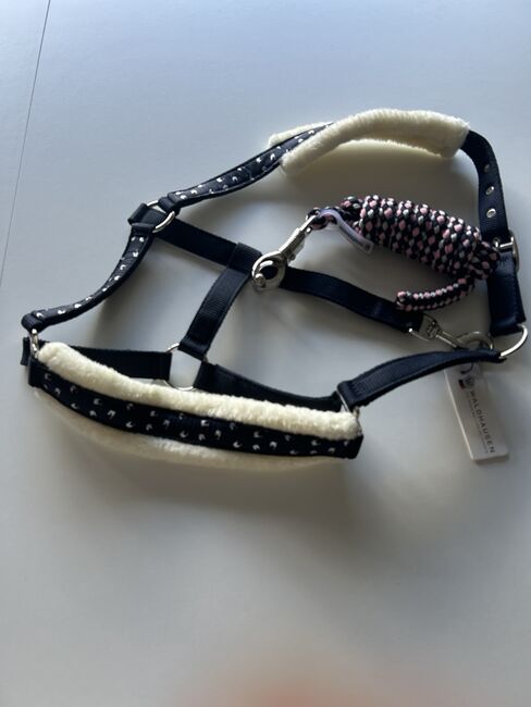 Halfter mit Strick, Sandra, Halters, Weitersborn 
