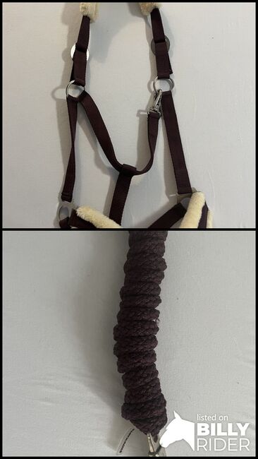 Halfter mit Strick, Showmaster , Sophia, Halters, Heroldsbach, Image 3