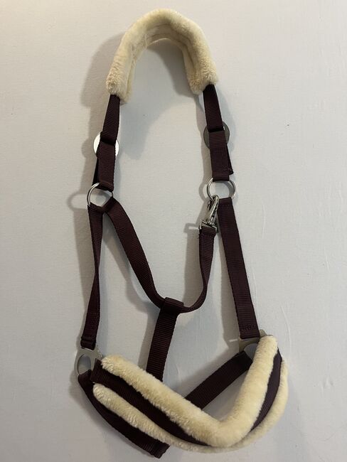 Halfter mit Strick, Showmaster , Sophia, Halters, Heroldsbach