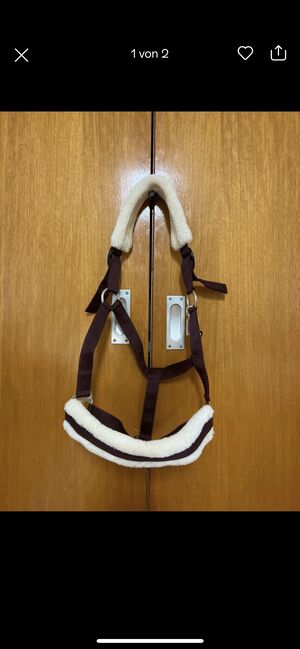 Halfter Showmaster, Showmaster, Anne Biedermann , Halters, Wehr