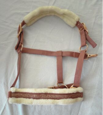 Halfter, Showmaster, Neu, Showmaster, A. Weigel, Halters, Bad Homburg