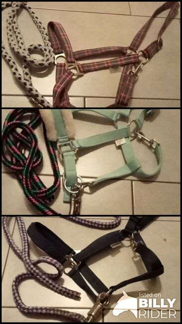 Halfter zu verkaufen, Emily , Halters, Barßel, Image 4