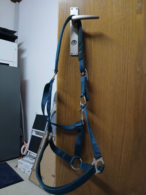 Halfter zu verkaufen, Show Master Halfter, Laura Auf der Maur, Halters, Rickenbach b. Schwyz