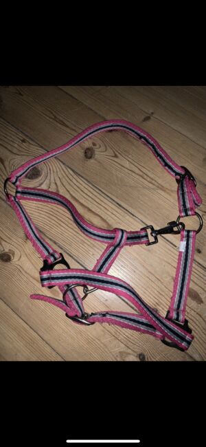 Halfter + Strick Pony, Viviana , Halters, Quedlinburg , Image 3
