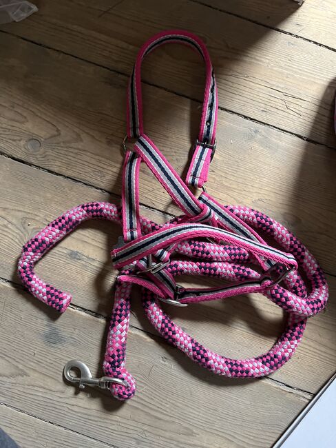 Halfter + Strick Pony, Viviana , Halters, Quedlinburg 