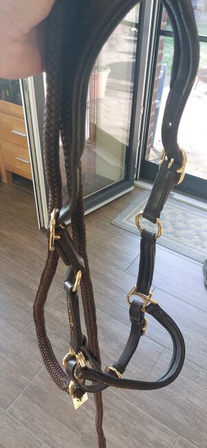Halfter von Aro Equi, Aro Equi, Verena Janßen , Halters, Straelen 
